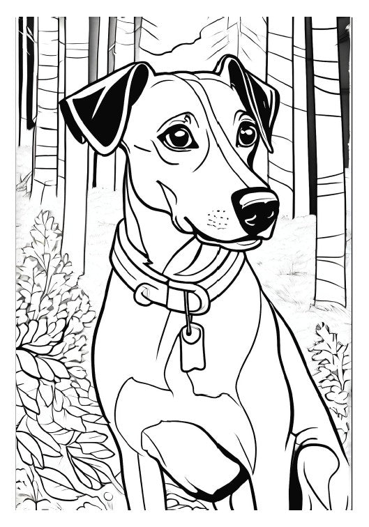 Pinscher und Schnauzer Malbuch