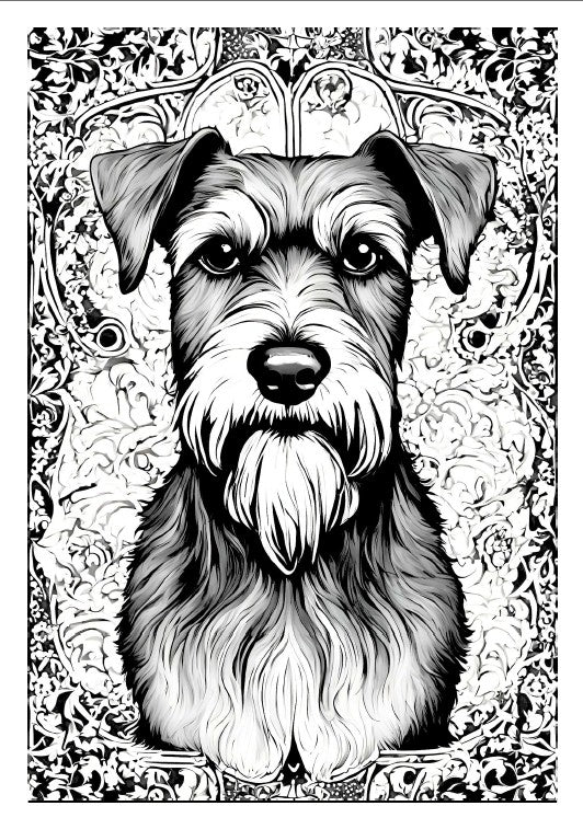 Pinscher und Schnauzer Malbuch